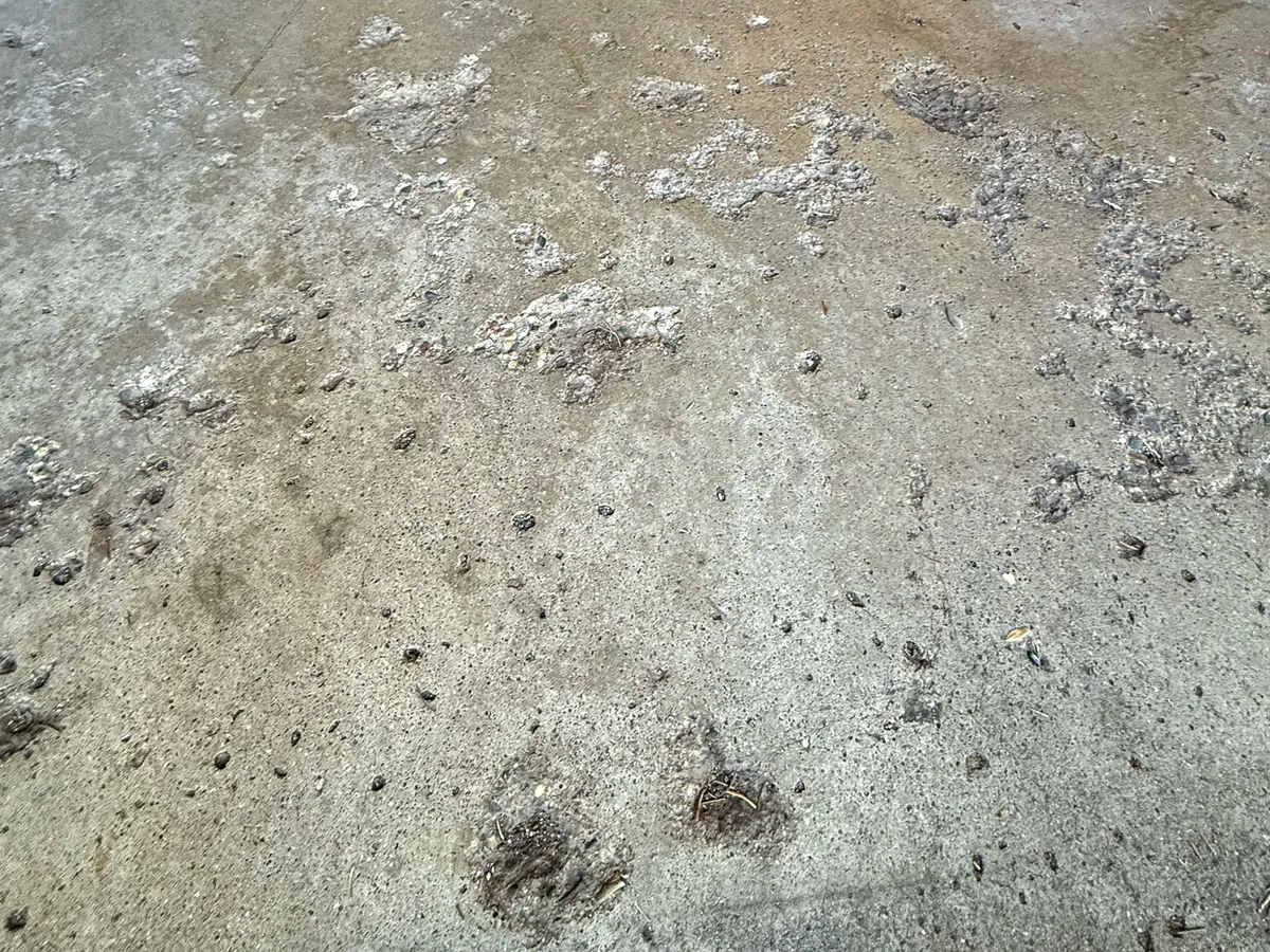 Close up of a pitted concrete slab